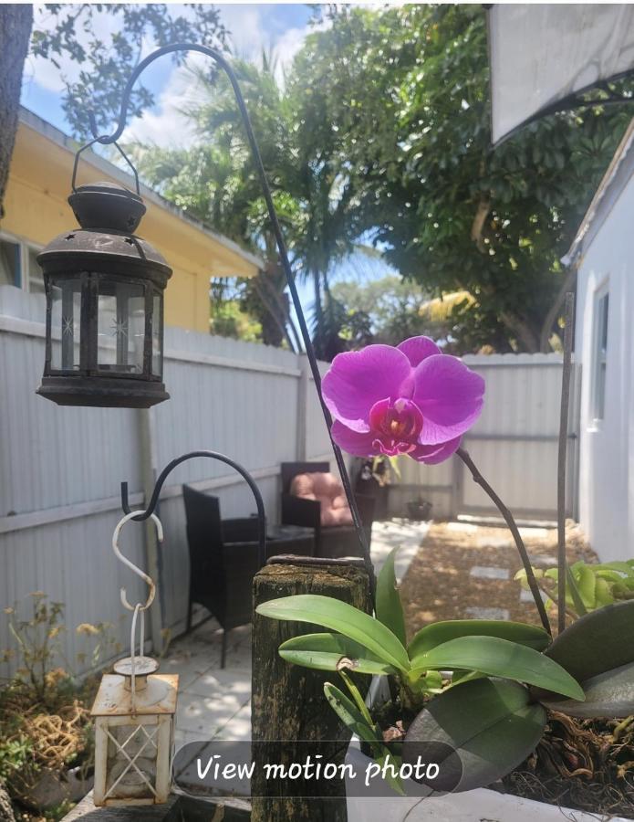 Suite Life At Chez Mercedes Miami Exterior photo