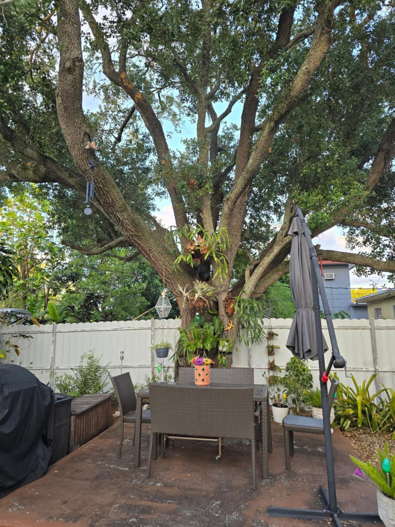 Suite Life At Chez Mercedes Miami Exterior photo