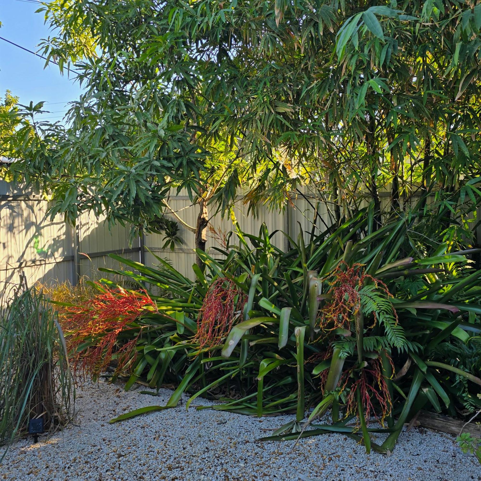 Suite Life At Chez Mercedes Miami Exterior photo