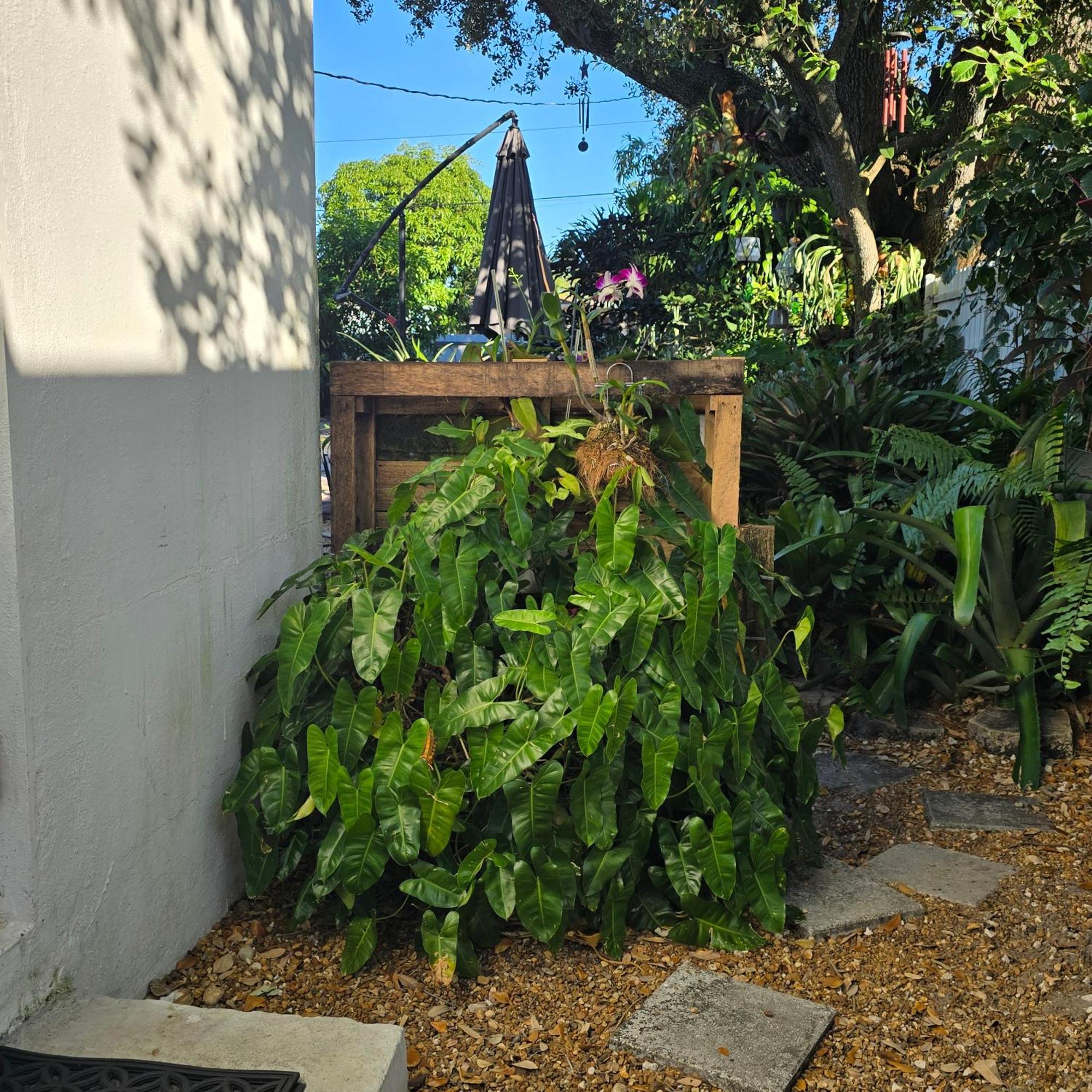 Suite Life At Chez Mercedes Miami Exterior photo