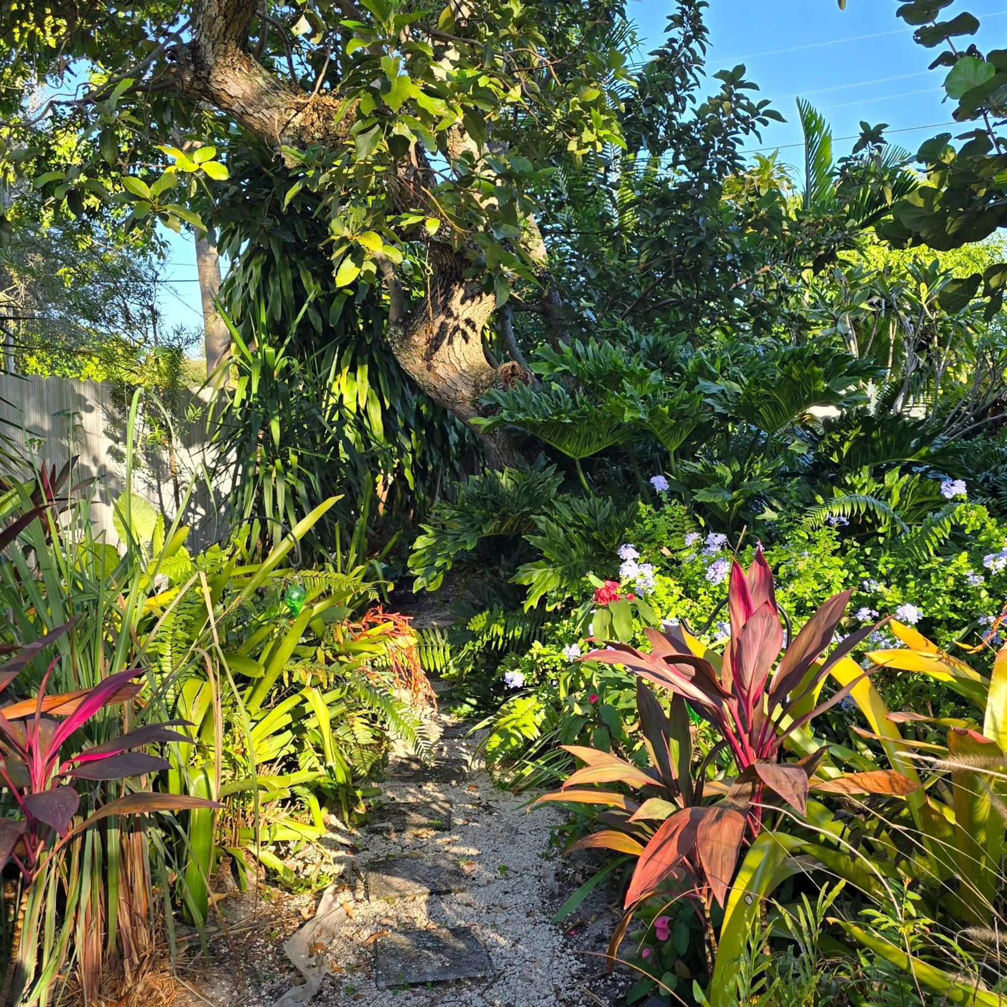Suite Life At Chez Mercedes Miami Exterior photo