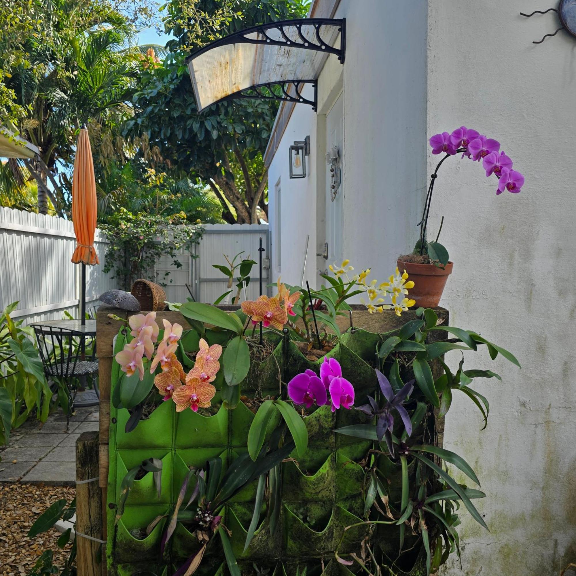 Suite Life At Chez Mercedes Miami Exterior photo